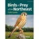 Birds of Prey of the Northeast Field Guide