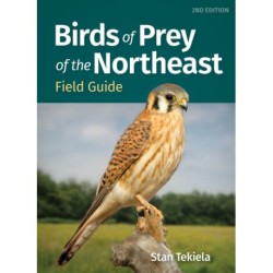 Birds of Prey of the Northeast Field Guide