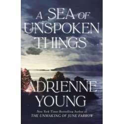 A Sea of Unspoken Things: a spellbinding mystery perfect for winter nights