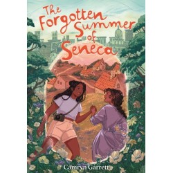 The Forgotten Summer of Seneca: A Novel