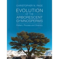 Evolution of the Arborescent Gymnosperms 2 Volume Hardback Set: Pattern, Process and Diversity