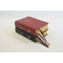 The Book of Common Prayer and Hymnal 1982 Combination Edition: Red Leather