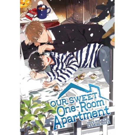 Our Sweet One-Room Apartment