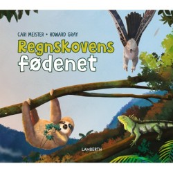 Regnskovens fødenet
