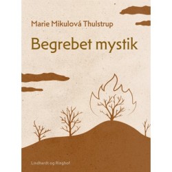 Begrebet mystik