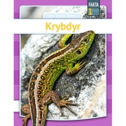 Krybdyr