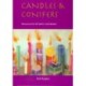 Candles and Conifers: Resources for All Saints' and Advent