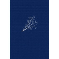 Gudstjenestens Bønner II