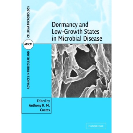 Dormancy and Low Growth States in Microbial Disease