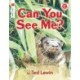 Can You See Me?