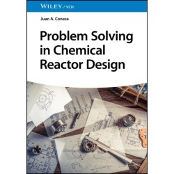 Problem Solving in Chemical Reactor Design
