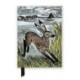 Angela Harding: Young Hare (Foiled Journal)