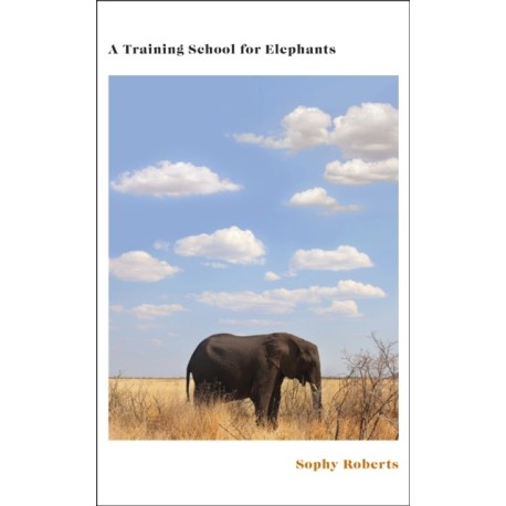 A Training School for Elephants