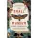 The Small Museum: A chilling historical mystery set against the Gothic backdrop of Victorian London
