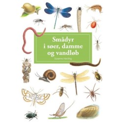 Smådyr i søer, damme og vandløb, display med 10 stk.