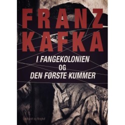 I fangekolonien. Den første kummer