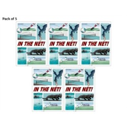 Read Write Inc. Fresh Start Readers: Book 1: In the Net! - Pack of 5