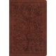 ESV Women's Study Bible