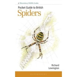 Pocket Guide to British Spiders