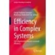 Efficiency in Complex Systems: Self-Organization Towards Increased Efficiency