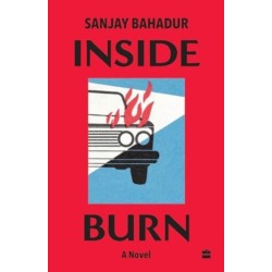Inside Burn: A Novel