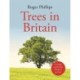 Trees: Of North America, Europe, the UK & Ireland