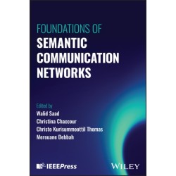 Foundations of Semantic Communication Networks