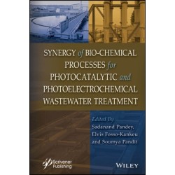 Synergy of Bio-Chemical Processes for Photocatalytic and Photoelectrochemical Wastewater Treatment