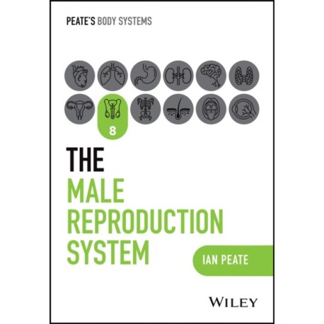 The Male Reproductive System