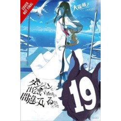 Is It Wrong to Try to Pick Up Girls in a Dungeon?, Vol. 19 (light novel)