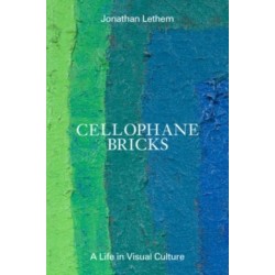 Cellophane Bricks: A Life in Visual Culture
