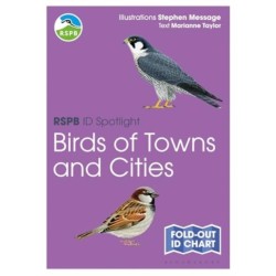 RSPB ID Spotlight - Birds of Towns and Cities