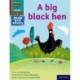 Read Write Inc. Phonics: A big black hen (Red Ditty Book Bag Book 9)
