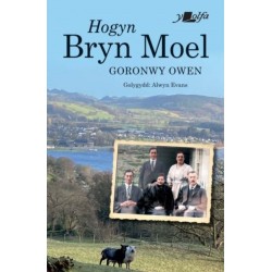 Hogyn Bryn Moel