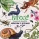 Buzzz!: Donovan Bixley's Native Bugs of Aotearoa