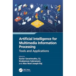 Artificial Intelligence for Multimedia Information Processing: Tools and Applications