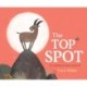 The Top Spot