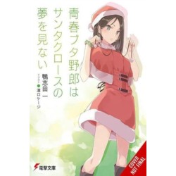 Rascal Does Not Dream of Santa Claus (light novel)