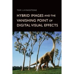 Hybrid Images and the Vanishing Point of Digital Visual Effects