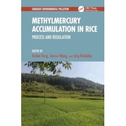 Methylmercury Accumulation in Rice: Process and Regulation