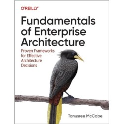 Fundamentals of Enterprise Architecture: Proven Frameworks for Effective Architecture Decisions