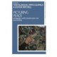 Picturing Peace: Photography, Conflict Transformation, and Peacebuilding