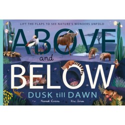 Above and Below: Dusk till Dawn: Lift the flaps to see nature's wonders unfold