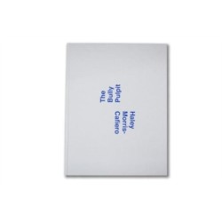 The Haley Morris-Cafiero: The Bully Pulpit