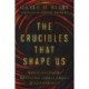 The Crucibles That Shape Us: Navigating the Defining Challenges of Leadership