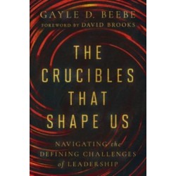 The Crucibles That Shape Us: Navigating the Defining Challenges of Leadership