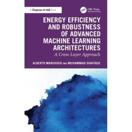 Energy Efficiency and Robustness of Advanced Machine Learning Architectures: A Cross-Layer Approach