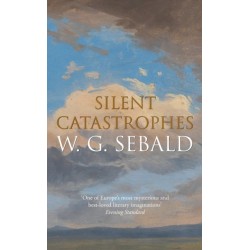 Silent Catastrophes: Essays in Austrian Literature