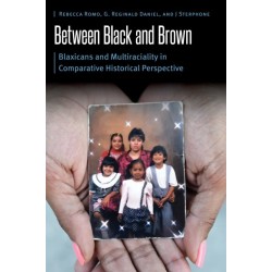 Between Black and Brown: Blaxicans and Multiraciality in Comparative Historical Perspective