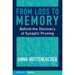 From Loss to Memory: Behind the Discovery of Synaptic Pruning